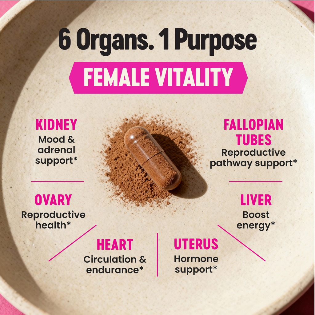 Primal Science™ Female Optimized Beef Organs
