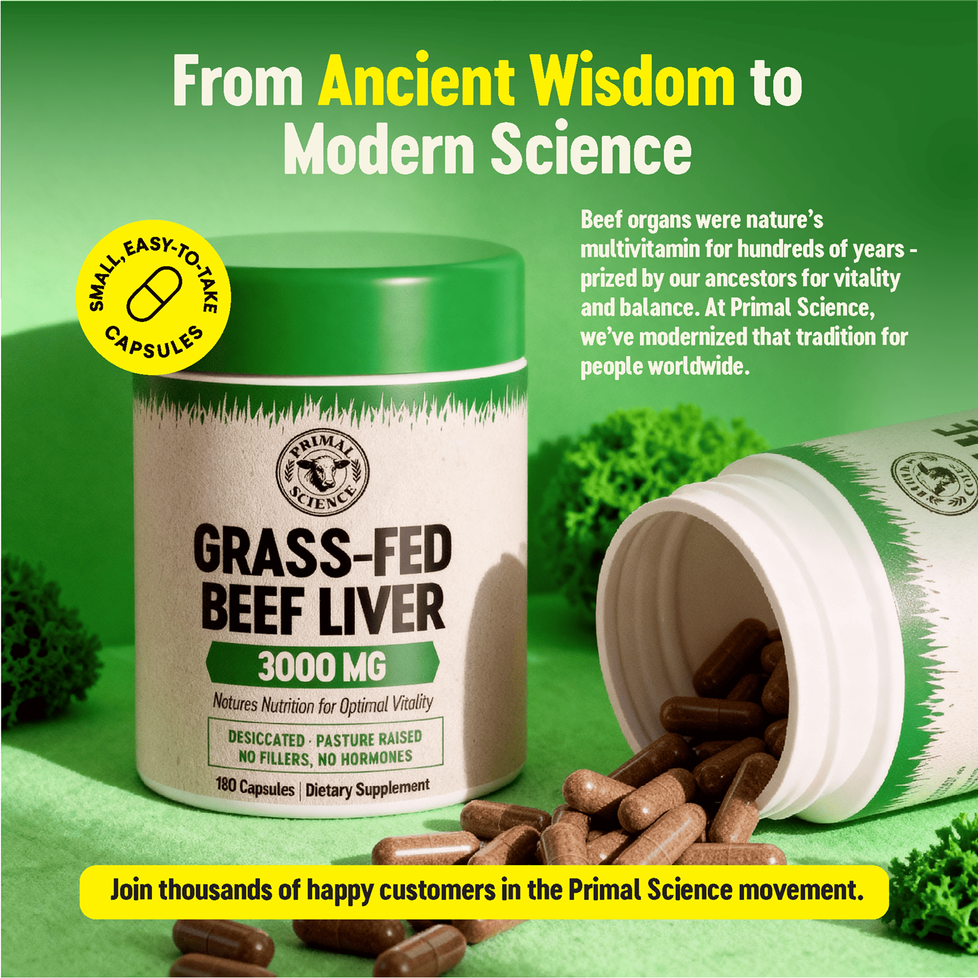 Primal Science™ Grass-Fed Beef Liver