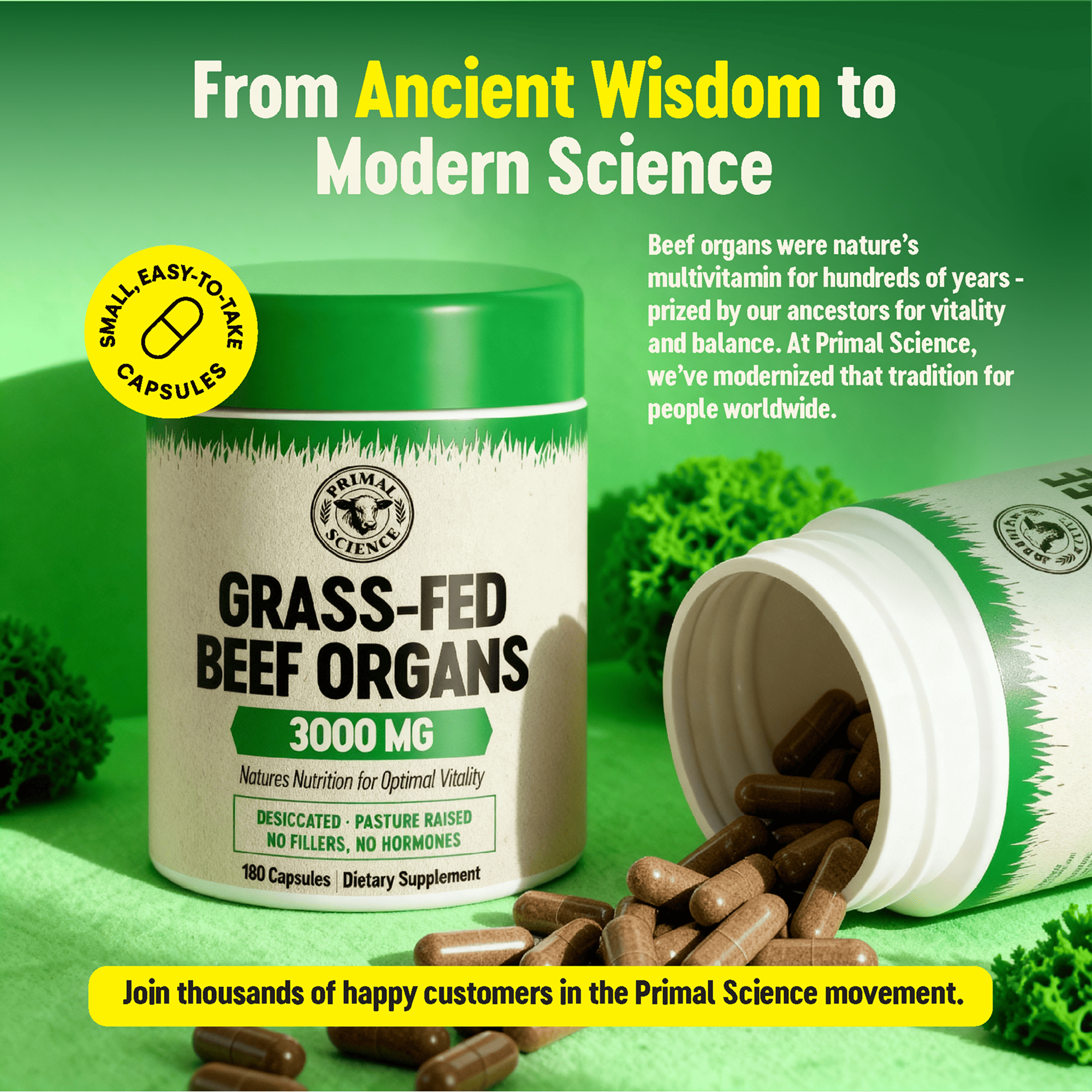 Primal Science™ Grass-Fed Beef Organs