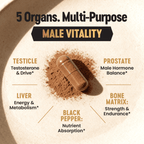 Primal Science™ Male Optimized Beef Organs